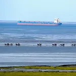 Strandhochhaus Sj13 아파트 쿡스하펜